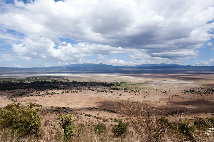 TZA ARU Ngorongoro 2016DEC26 Crater 104